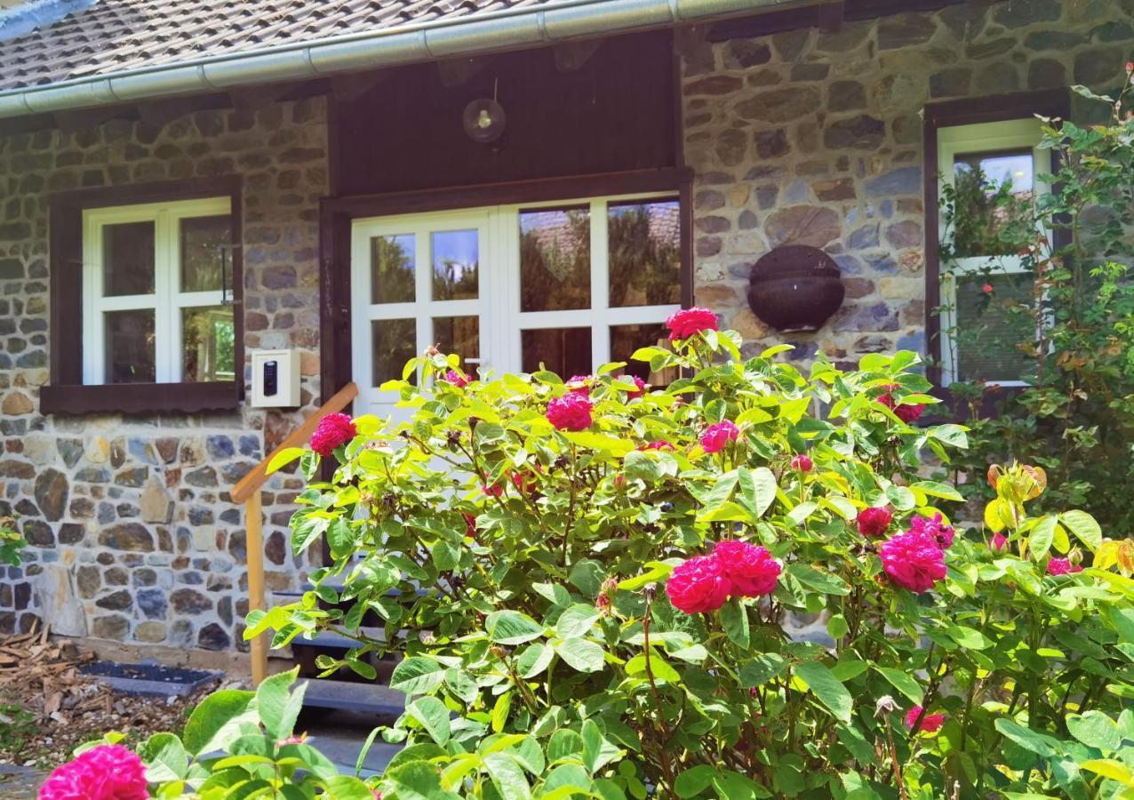 זימראת' Ferienhaus Eifelrose מראה חיצוני תמונה