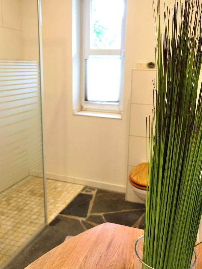 זימראת' Ferienhaus Eifelrose מראה חיצוני תמונה