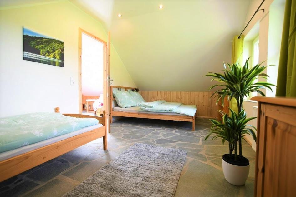 זימראת' Ferienhaus Eifelrose מראה חיצוני תמונה