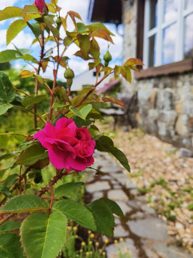 זימראת' Ferienhaus Eifelrose מראה חיצוני תמונה