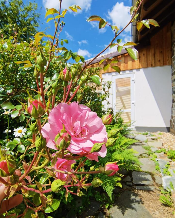 זימראת' Ferienhaus Eifelrose מראה חיצוני תמונה