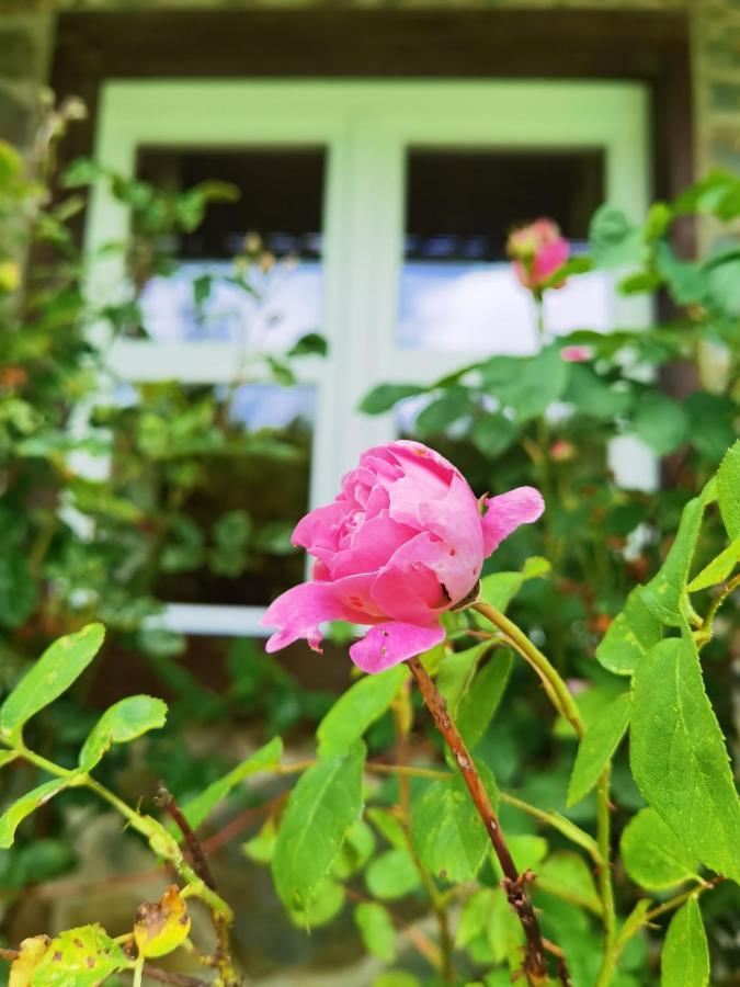 זימראת' Ferienhaus Eifelrose מראה חיצוני תמונה